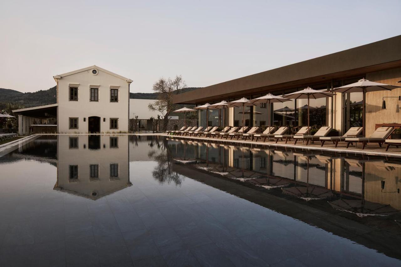 The Olivar Suites Mesongi Luaran gambar